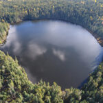 光合成の進化に新たな発見！未知の細菌「クロロヘリックス」が生命の歴史を照らす