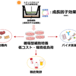 光合成微生物でサステナブルな未来を！早稲田大学の新発見が切り拓く光合成微生物を活用した細胞培養システム
