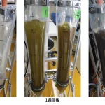 アルヌール、革新的な樹脂バック式の微細藻類培養装置の開発に成功！（高濃度培養）