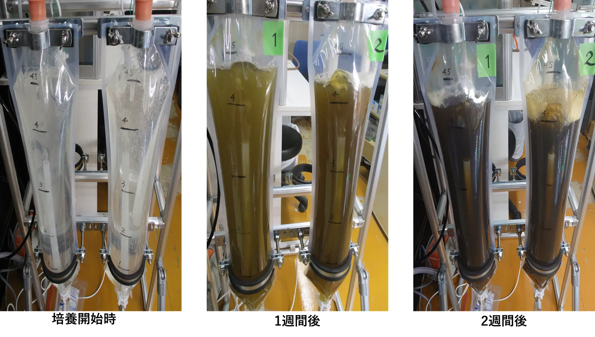 アルヌール、革新的な樹脂バック式の微細藻類培養装置の開発に成功！（高濃度培養）