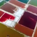 これも微細藻類？ドナリエラが魅せる中国の「虹色塩湖」！色の変化の秘密