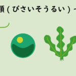 【ユーグレナ社が開始】第1回：小さな藻が地球を救う？未来を支える「微細藻類」の可能性