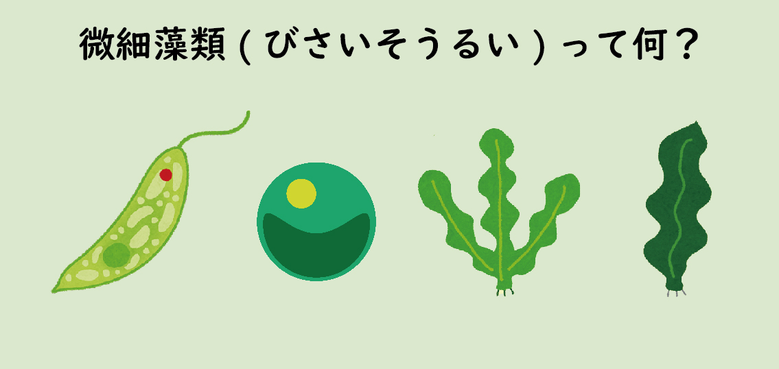 【ユーグレナ社が開始】第1回：小さな藻が地球を救う？未来を支える「微細藻類」の可能性