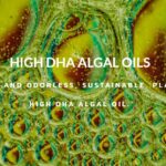 セティ、藻類由来DHAパウダー「DHA-rich Algal Oil Powder」提供、サステナブルな未来の味方へ