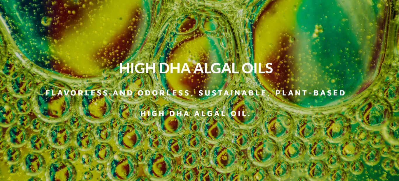 セティ、サステナブルな未来の味方！藻類由来DHAパウダー「DHA-rich Algal Oil Powder」登場