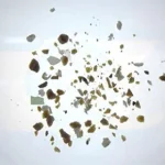 【海水処理】微細藻類を使ってマイクロプラスチックをエネルギーへ転換する新たな挑戦