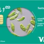 丸井グループ・ユーグレナから「ユーグレナカード」誕生！子どもたちの健康を支える新たな一歩