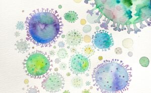 【ヴィーガン/ベジタリアン必見】動物性微生物と植物性微生物の違いとは？