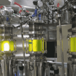 微細藻類から未来のたんぱく質へ！Brevelが約7.4億円を調達、持続可能な食品革命が加速