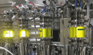 微細藻類から未来のたんぱく質へ！Brevelが約7.4億円を調達、持続可能な食品革命が加速