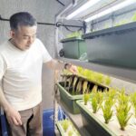 微細藻類×ミドリムシで叶える、Revo Energyの低コストバイオ燃料の未来