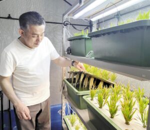 微細藻類×ミドリムシで叶える、Revo Energyの低コストバイオ燃料の未来