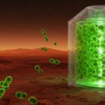 ハーバード大学、火星環境で微細藻類ドナリエラの栽培に成功！未来の宇宙開発を変える革新技術とは