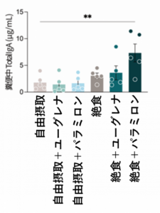 絶食とパラミロンの組み合わせで腸内環境と免疫を改善！ユーグレナ研究の最新成果