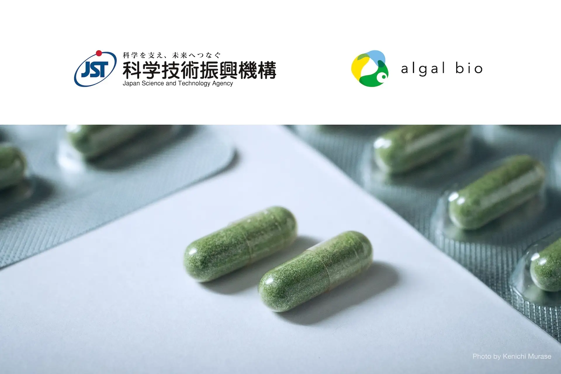 アルガルバイオ、JST A-STEP採択で最大3.3億円支援獲得!微細藻類原料実用化へ大きく前進!